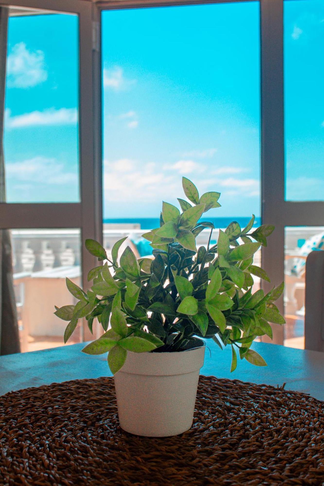 Vista Mar - Seafront Holiday Apartments سانتا ماريا المظهر الخارجي الصورة